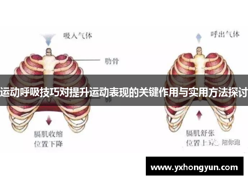 运动呼吸技巧对提升运动表现的关键作用与实用方法探讨
